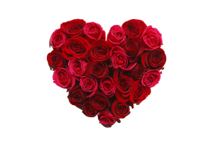 the-history-of-red-roses-and-valentines-day