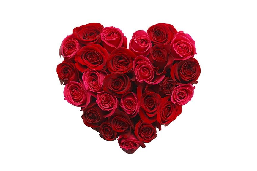 the-history-of-red-roses-and-valentines-day